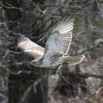 article image - 